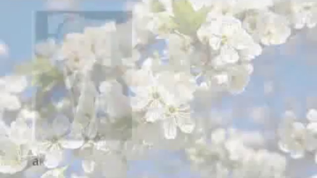 Известные люди о вере в Бога.часть 1