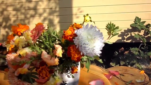 Autumn Motives - Осенние мотивы:)))))))))