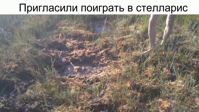 Смешные моменты стелларис (Stellaris Funny Moment)