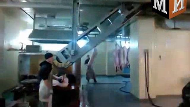 Элеватор трубчатого пути (Элеватор безрамный подъема и опускания туш ФПП-ЭПТ-БРМ