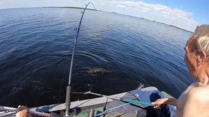 Отличная и крупная щука. Поклёвка на тролинг.