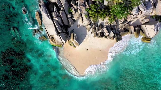 Saxophone Music - Relaxing Music,Chill Out Music,Calming Music смотреть онлайн