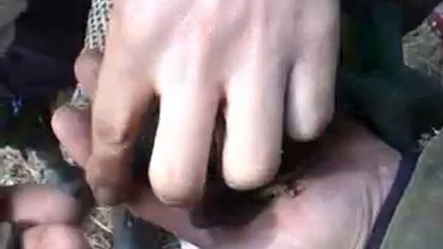 Старая гвардия смотреть онлайн