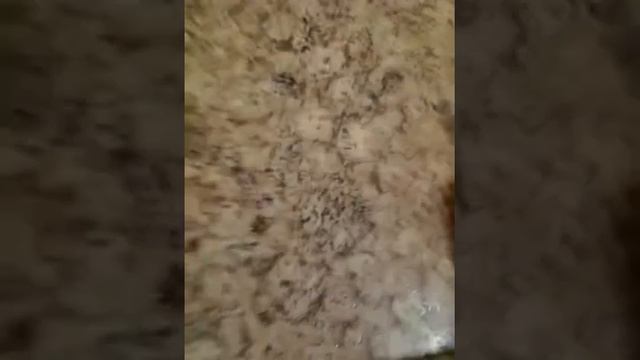 2 ЛАЙФХАКА как сделать пистолет? смотреть онлайн
