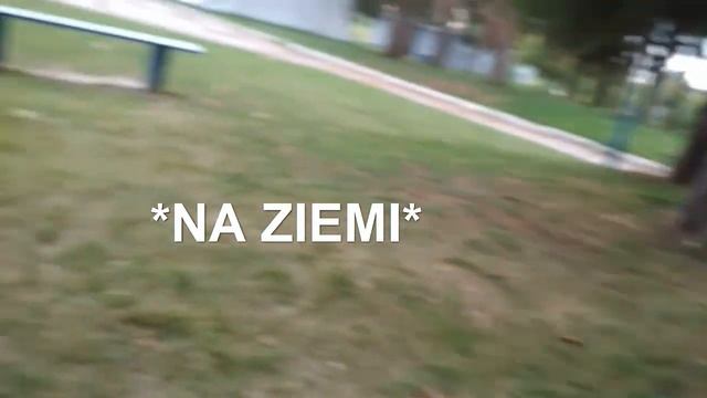 ПОЛЬСКИЙ ЯЗЫК # 17 ПРИРОДА / Лика в Польше смотреть онлайн