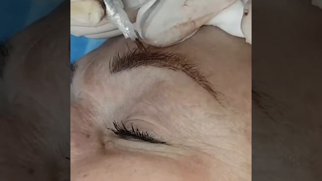 ПЕРМАНЕНТНЫЙ МАКИЯЖ БРОВЕЙ ВОЛОСКОВАЯ ТЕХНИКА смотреть онлайн