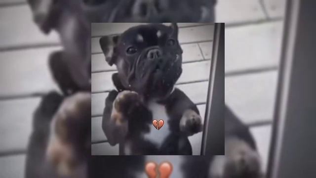 CUIDADO COM A LAPADA TOMA TOMA - DJ Vinicius de Macabu (1 hour ) смотреть онлайн