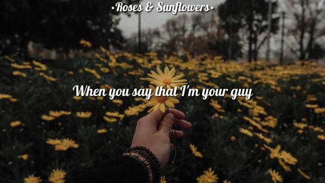 Roses & Sunflowers - Timmy Albert (Lyric Video) смотреть онлайн