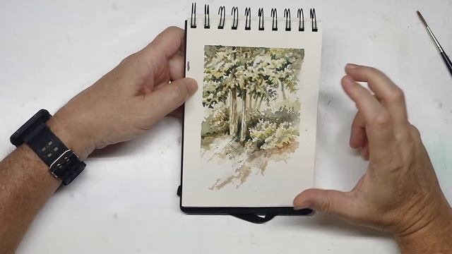 Painting Sketchbook Tour, Days 15-20 – 30x30 Direct Watercolor Challenge + Speed Painting смотреть онлайн
