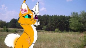 Реакция на новую сью копирующую сью из тт | #котывоители