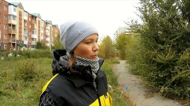 Управляемая городская собака. Как правильно гулять с собакой смотреть онлайн