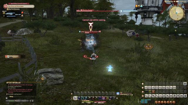 Final Fantasy XIV | A Realm Reborn | Hunting Log - Arcanist 06 смотреть онлайн