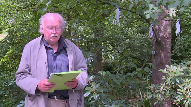 Ode aan de zakdoekjesboom in Trompenburg смотреть онлайн