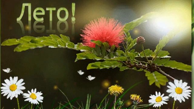 Лето - мое произведение на клавишах - июль - 2022 - с ув.Любовь Светланова смотреть онлайн