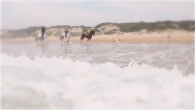 Uplifting Horse Music Video - the bond between human and horse смотреть онлайн