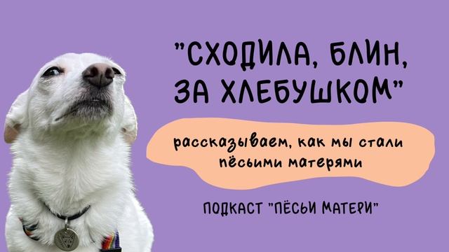 “Сходила, блин, за хлебушком!” — рассказываем, как мы стали пёсьими матерями смотреть онлайн