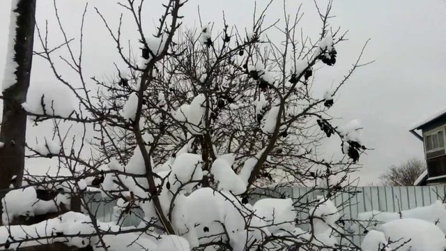 Мастерство уборочных решений