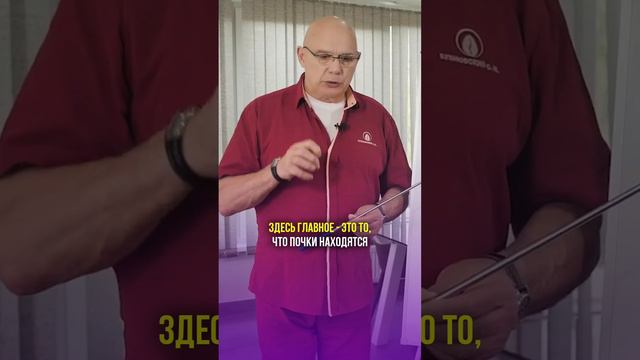 Главная причина недержания мочи #shorts #бубновский #голодание #кинезитерапия смотреть онлайн