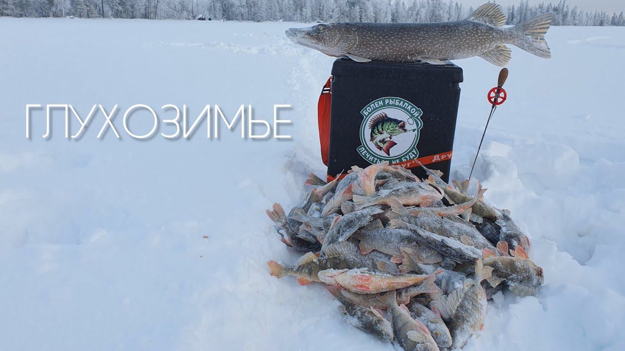 ОПЯТЬ ЭТА БЛЕСНА !!! #рыбалка #щука #fishing #pike #pikefishing