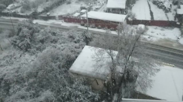 Сочи засыпал снег.... смотреть онлайн