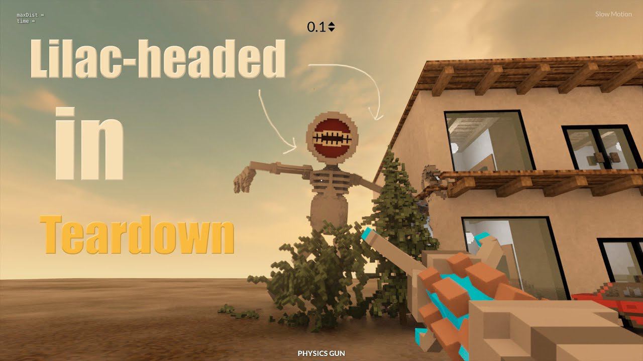 Live Lilac-headed In (Teardown)