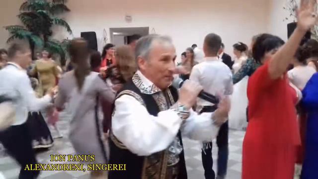 ION PANUS - ALEXANDRENI, SINGEREI (Partea 1) смотреть онлайн