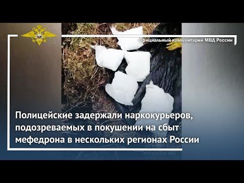 Ирина Волк: Челябинскими полицейскими из незаконного оборота изъято более 28 килограммов наркотиков смотреть онлайн