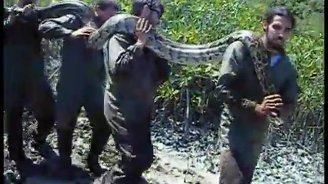 Python 41 capture смотреть онлайн