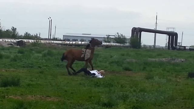 Как быстро слезть с коня смотреть онлайн