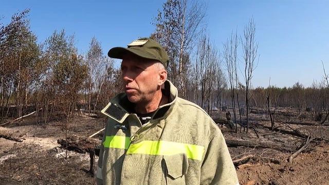 ЛЕСНОЙ ПОЖАР В КИШКИНО. Щёлковский гарнизон пожарной охраны ликвидировал возгорание леса. смотреть онлайн