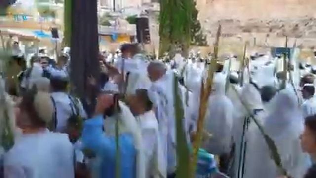 Каждую Пятницу снова Шабат ??✡ смотреть онлайн