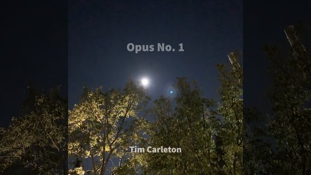 Opus No. 1