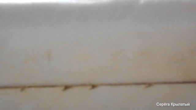 ??? Контроль пчелосемей на наличие кормов, маток ??? Сборка гнёзд??? смотреть онлайн