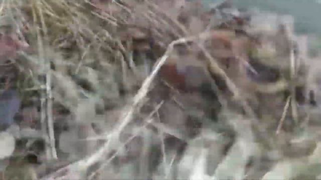 Триходерма размножение своими руками применение для теплицы почвы смотреть онлайн