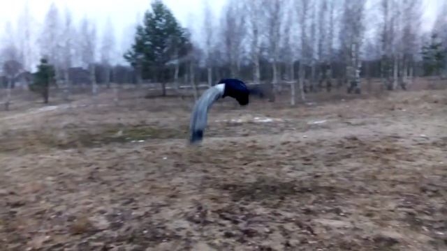рондат фляк задка смотреть онлайн