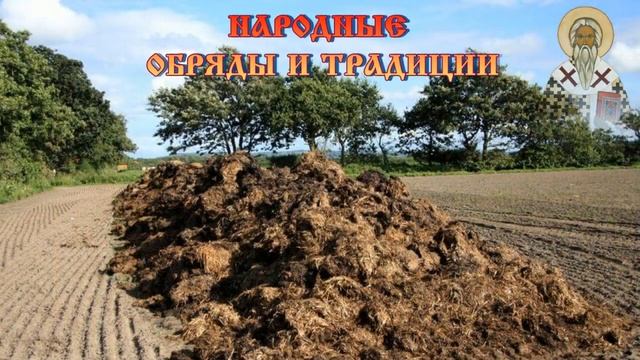 Митрофан Навозник или Митрофан – красный сарафан смотреть онлайн