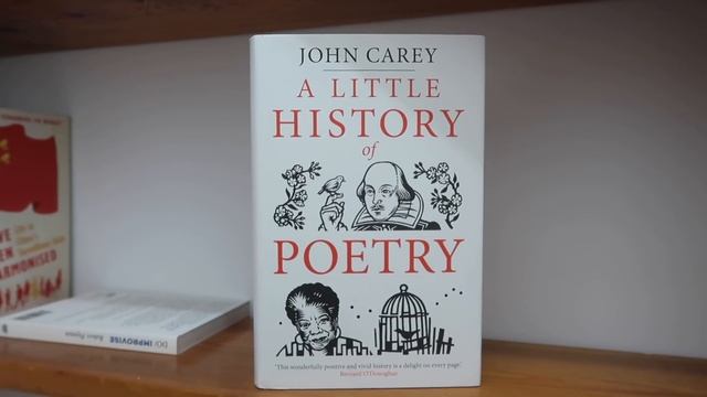 BLACK & WHITE books · Rainbow Bookshelf Tour смотреть онлайн