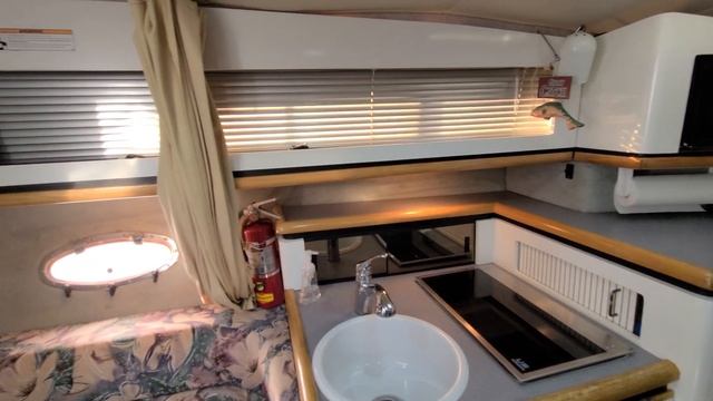 3555 Bayliner Avanti Walk Around, Cruising life #zachpaider смотреть онлайн