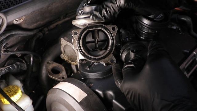 SKODA FABIA EGR Removal VAG 1.9 PD (01-07)