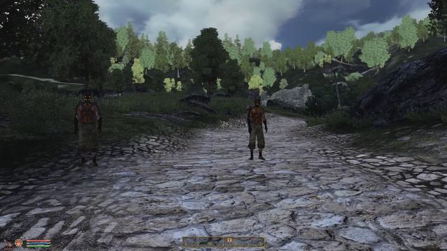 TES IV: OBLIVION --- #2 ПО ДОРОГЕ К БРУМЕ... смотреть онлайн