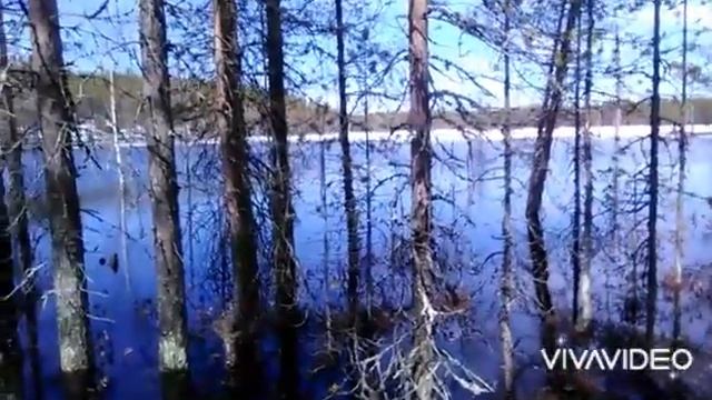 "РЫБАЛКА В КАРЕЛИИ" ВЕСЕННЯЯ ЩУКА. 2ой ДЕНЬ. смотреть онлайн