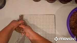 Колбаски в дегидраторе без оболочки. Насмеялась пока готовила?