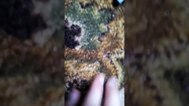 Как сделать из конструктора видео камеру смотреть онлайн