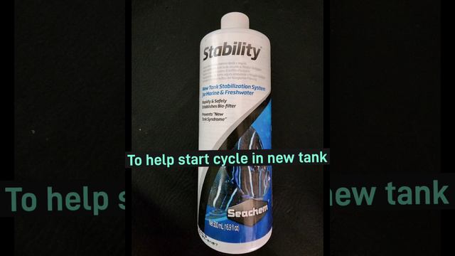 Sick Black moor (Bacterial infection) смотреть онлайн