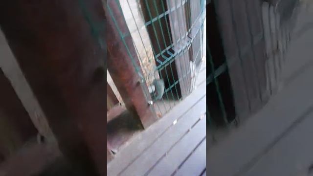 страшилка плюс вторая часть танцев Так начинаем смотреть онлайн
