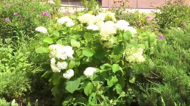 Мы всегда рады вас видеть.mp4 смотреть онлайн