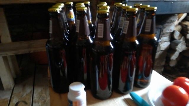 Выживание на даче зимой.Шашлык и Баня. смотреть онлайн