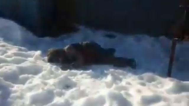 Паркур с фаилом смотреть онлайн
