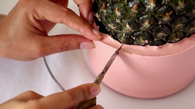 DIY VASO ABACAXI De CONCRETO | Nanny Ribeiro