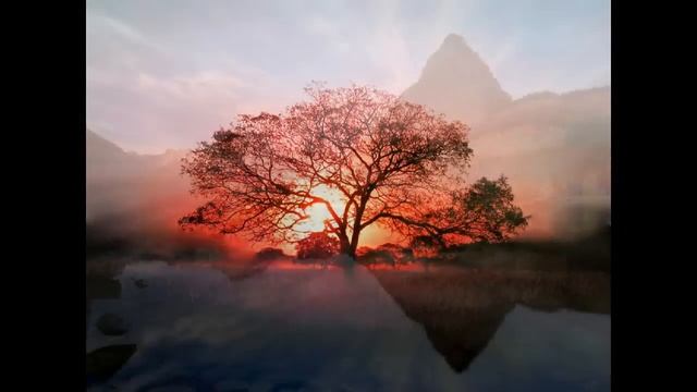 NO DEJARE DE AMARTE-zamba смотреть онлайн